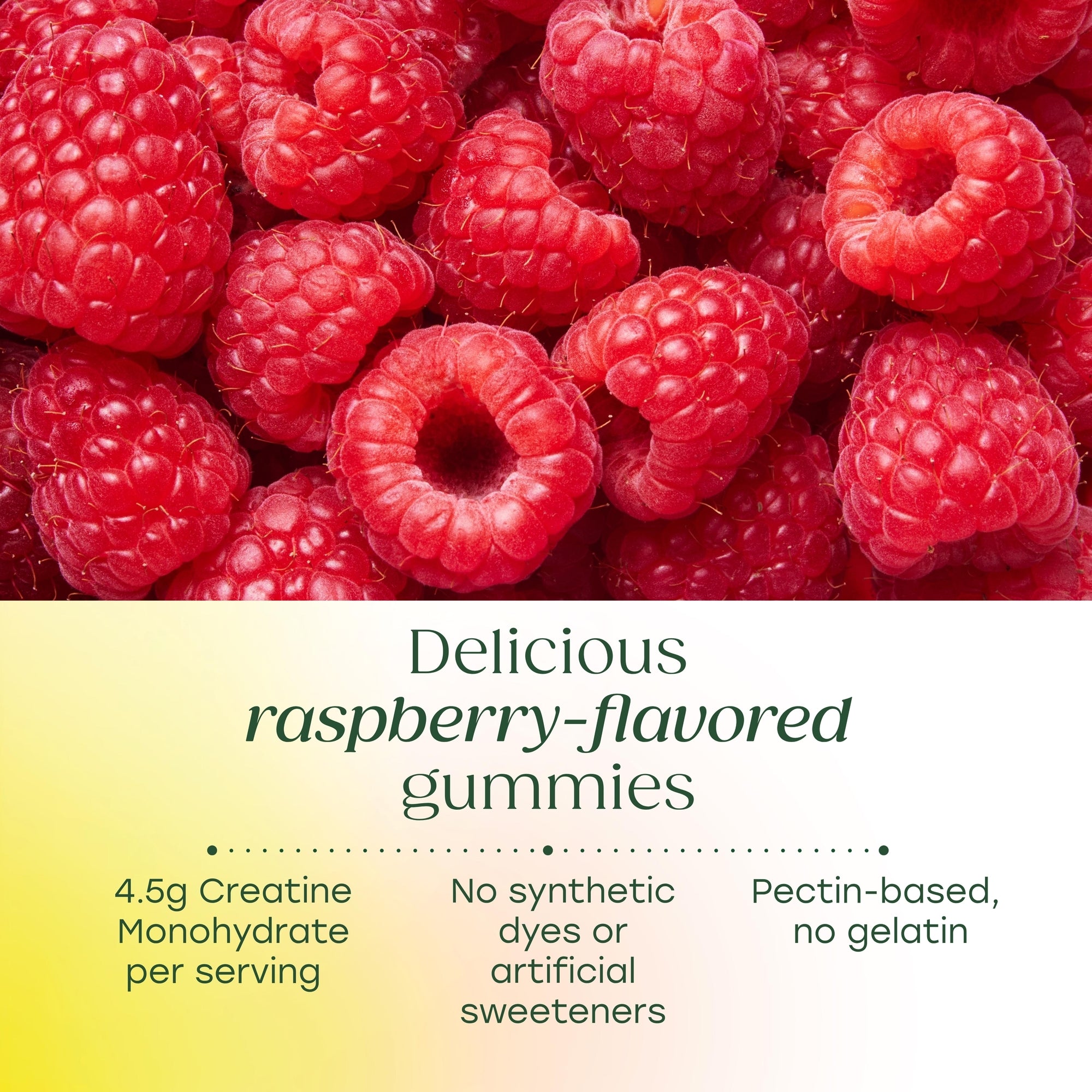 Creatine Monohydrate Gummies